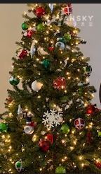 231215102518_Christmas tree.JPG